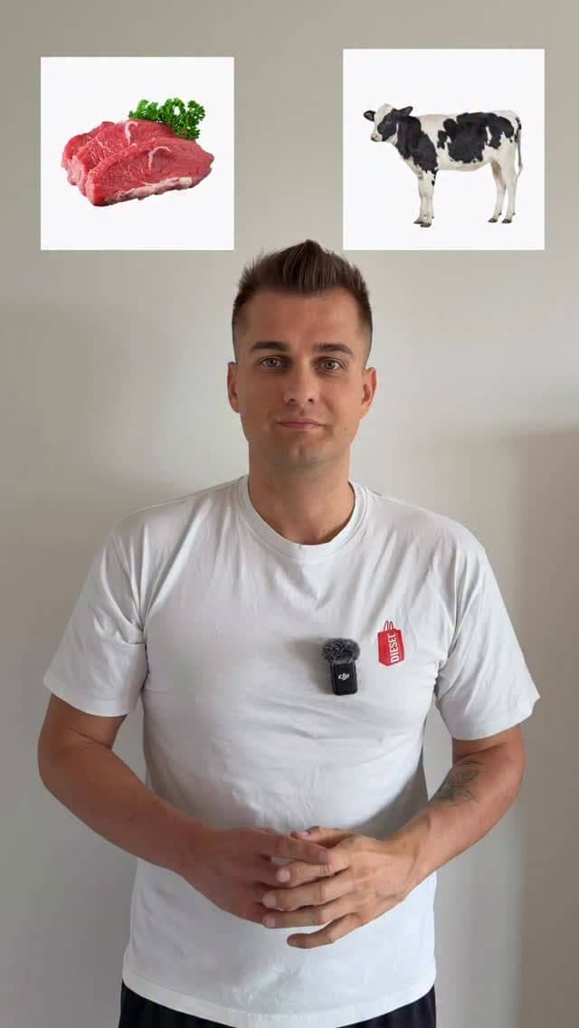 Proč se v angličtině řekne prase PIG, ale vepřové PORK? 🥩
Může za to rok 1066, kdy Anglii ovládla francouzská šlechta. 
